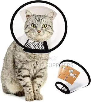 Elizabethan Cat Collar