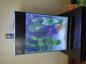 Complete Tower Aquarium ,Small and Cute Aquarium - thumbnail 2