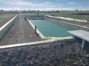 Construction and Planting of Natural Swimming Pools