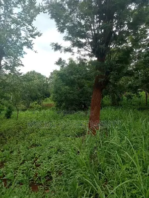 An Acre of Land on Sale at Irigiro-Sabasaba.