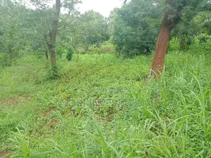 An Acre of Land on Sale at Irigiro-Sabasaba.