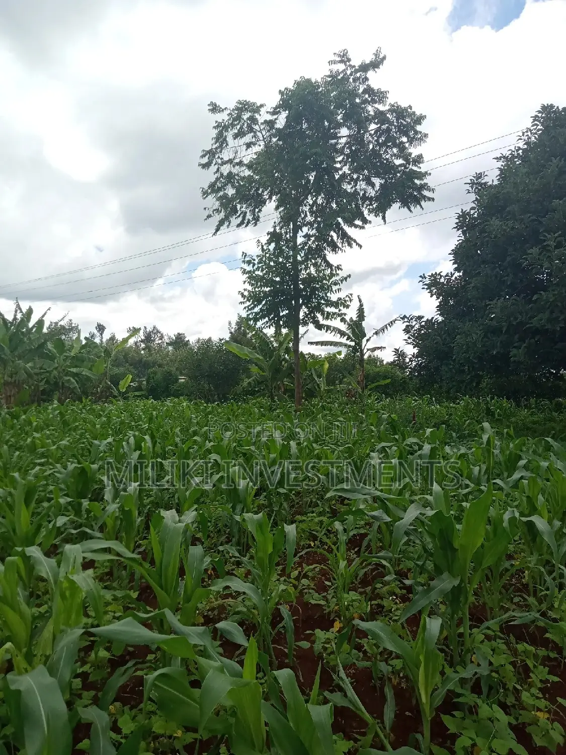 An Acre of Land on Sale at Irigiro-Sabasaba.