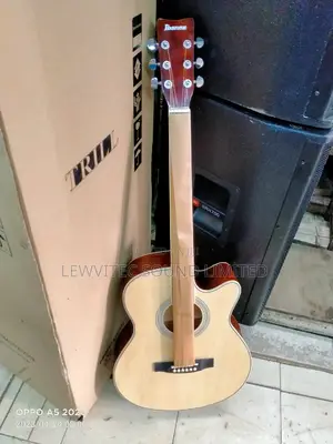 Acoustic 40,Natural Guitar