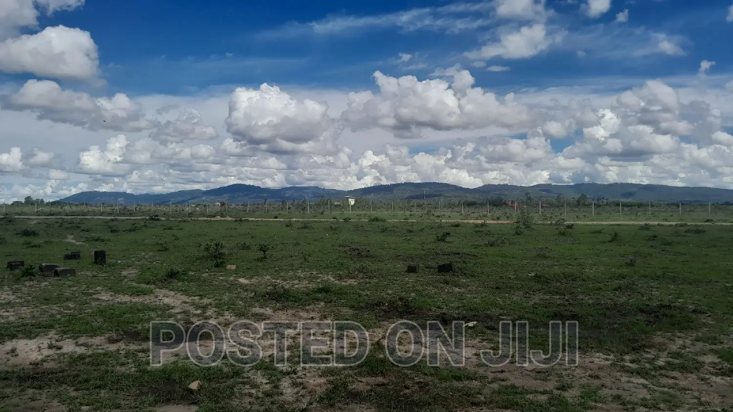 Phenomenal Plots for Sale^En