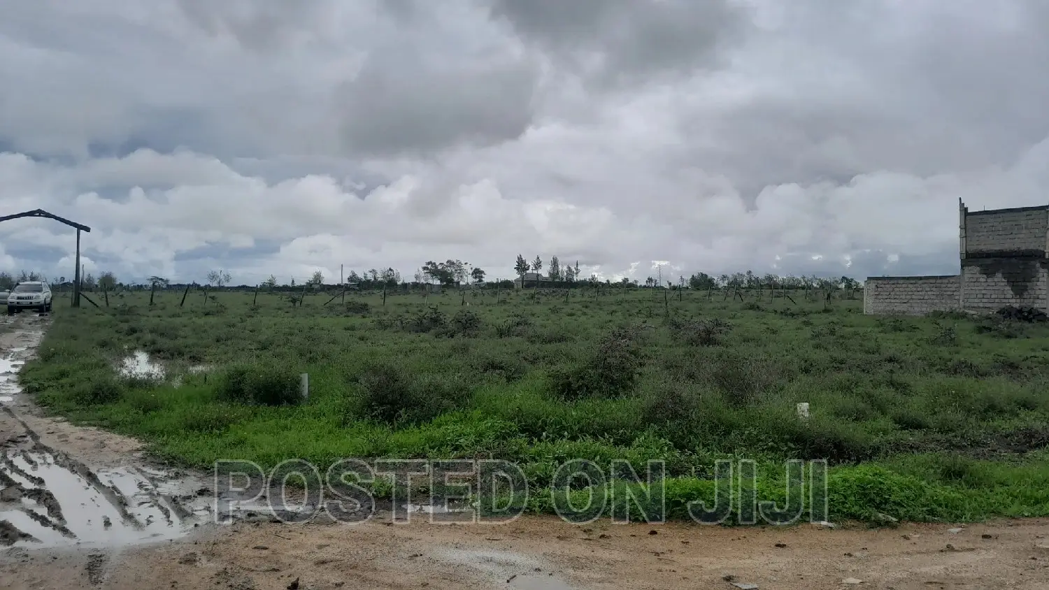 Phenomenal Plots for Sale^En