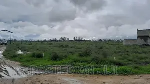 Phenomenal Plots for Sale^En