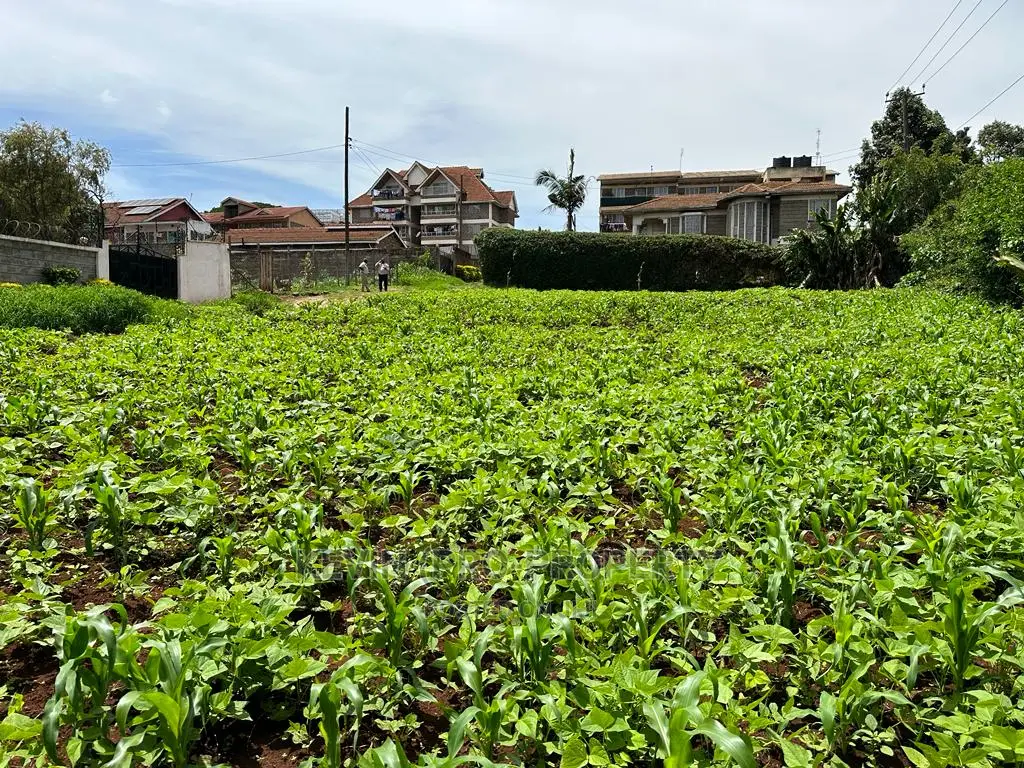 Prime Commercial Plot in Kikuyu Town.