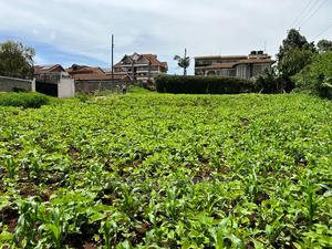 Prime Commercial Plot in Kikuyu Town. - thumbnail 2