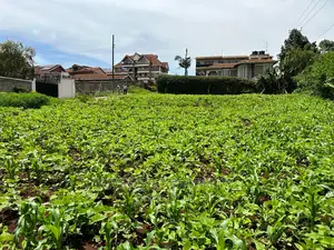 Prime Commercial Plot in Kikuyu Town.