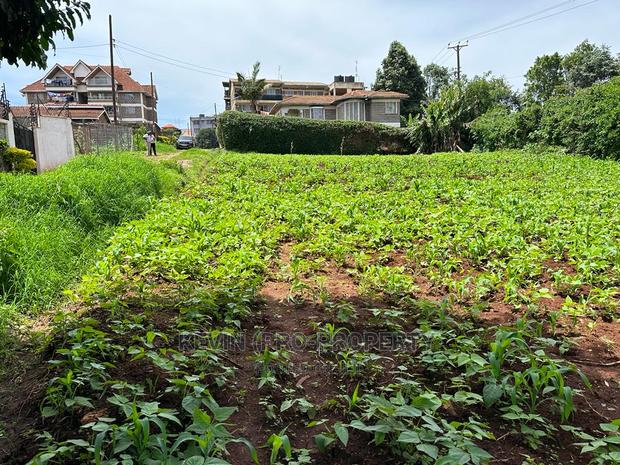 Prime Commercial Plot in Kikuyu Town. - thumbnail 5