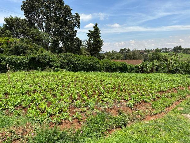 Prime Commercial Plot in Kikuyu Town. - thumbnail 9