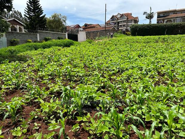 Prime Commercial Plot in Kikuyu Town. - thumbnail 10