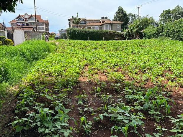 Prime Commercial Plot in Kikuyu Town. - thumbnail 6