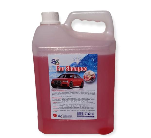 Car Shampoo - main view