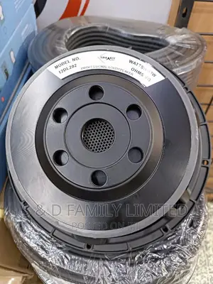 12 Inch Naked Speaker 600 Watts