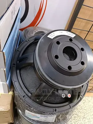 15 Inch Double Coil Speaker 800 Watts