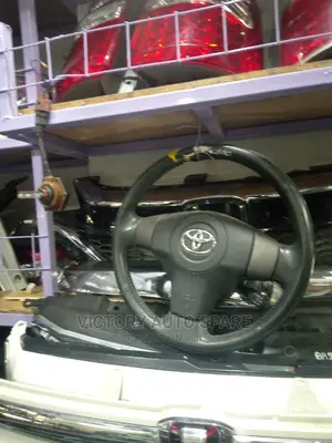 Vanguard Steering Airbag