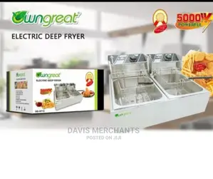 Double Fryer Efficient