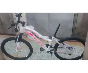 Steady Bike 24"