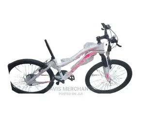 Athletic Girls Bike 24"