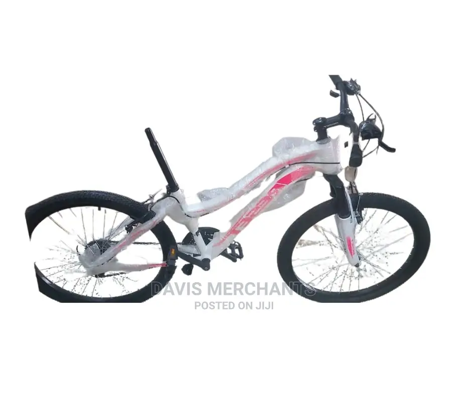 Athletic Girls Bike 24"