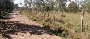 10 Acre Kariamu - thumbnail 2
