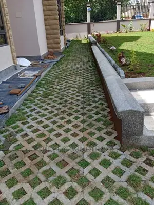 Grass Pavers (Lattice Blocks).