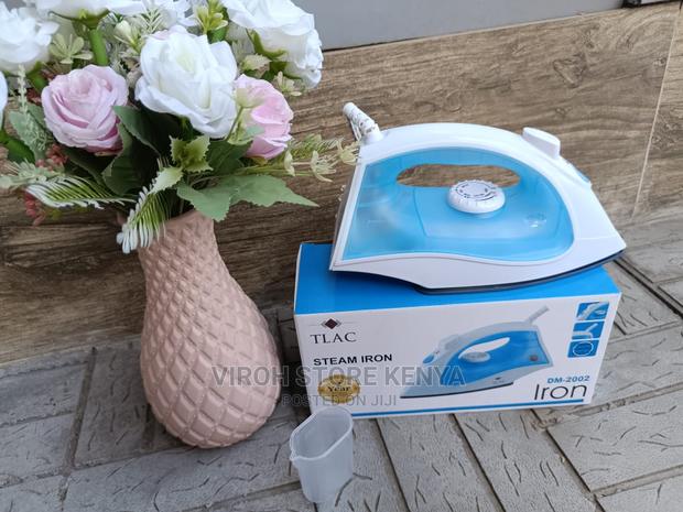 Steam Iron - main view