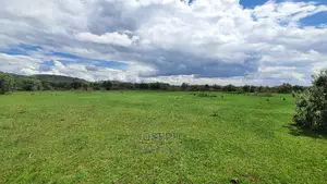 Charming Block of 112 Acres Naivasha Kedong