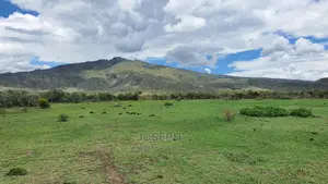 Charming Block of 112 Acres Naivasha Kedong