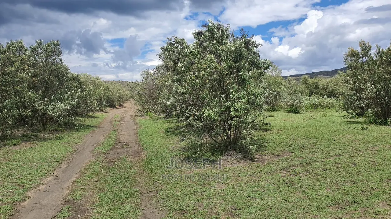 Charming Block of 112 Acres Naivasha Kedong