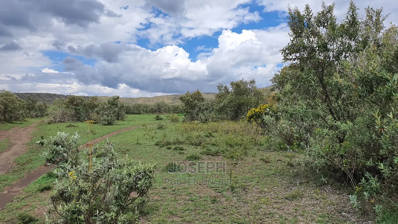 Charming Block of 112 Acres Naivasha Kedong