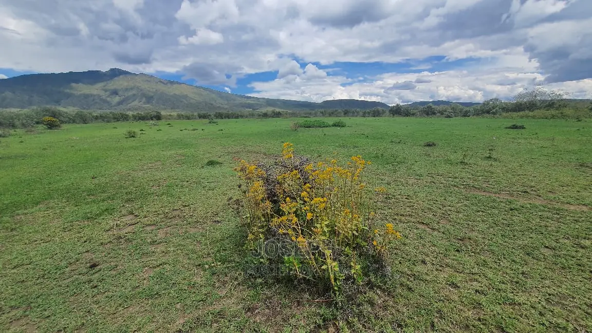 Charming Block of 112 Acres Naivasha Kedong