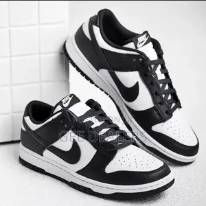 Nike SB Shoes