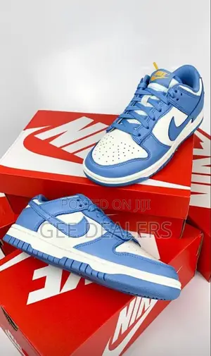 Nike SB Shoes
