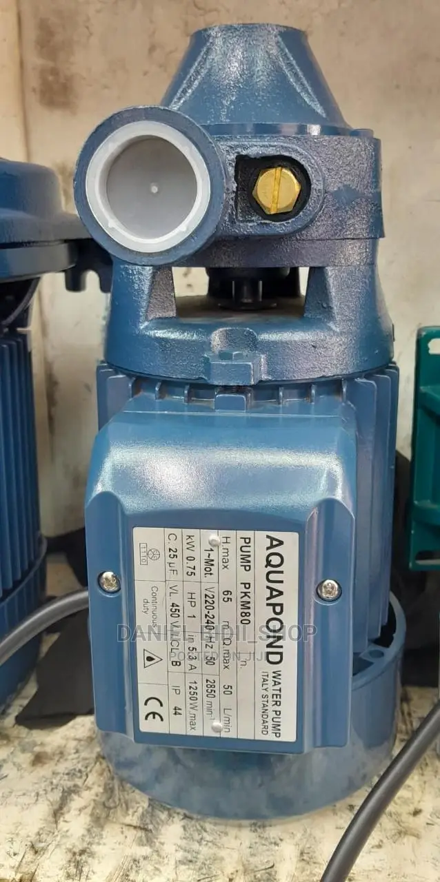 Aquapond Water Booster Pump 1hp 65m Pkm80