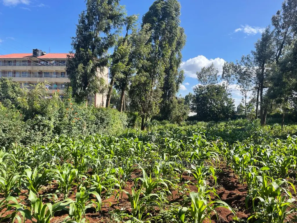 Prime Commercial Plot in Kikuyu, Thogoto-Southern Bypass.