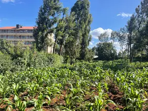 Prime Commercial Plot in Kikuyu, Thogoto-Southern Bypass.