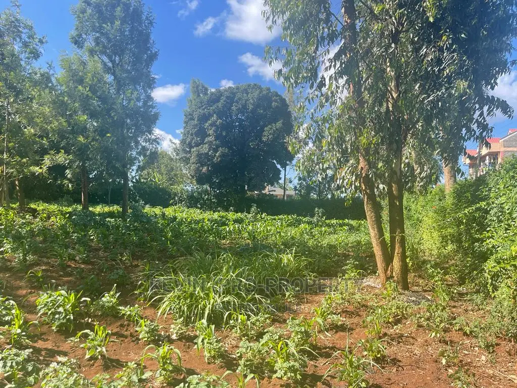 Prime Commercial Plot in Kikuyu, Thogoto-Southern Bypass.