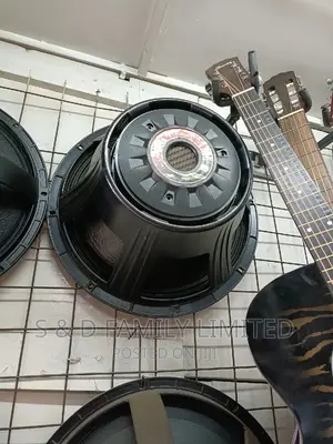 Challenger Bass Speaker