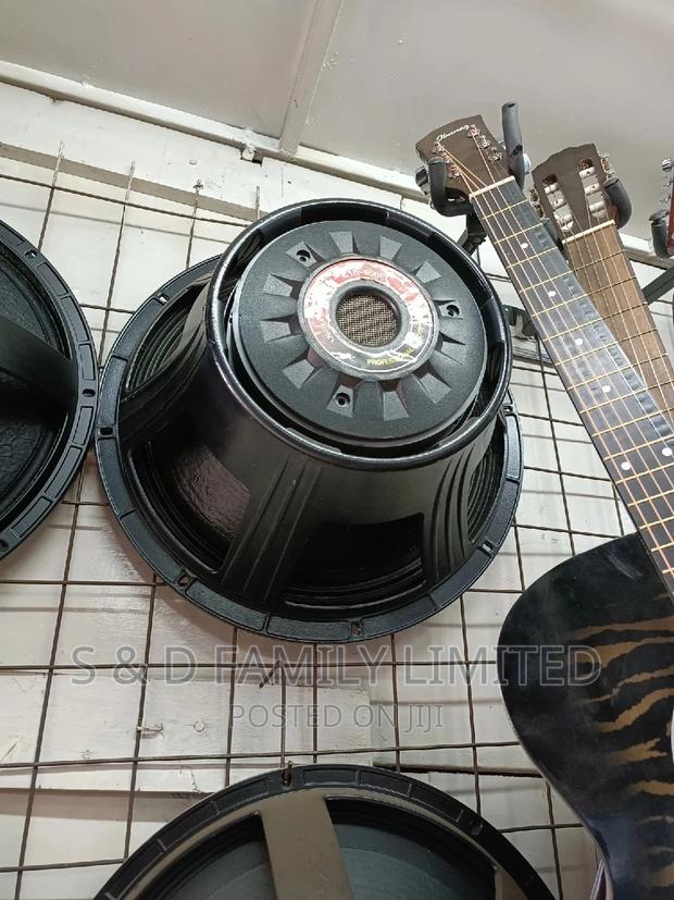 Challenger Bass Speaker