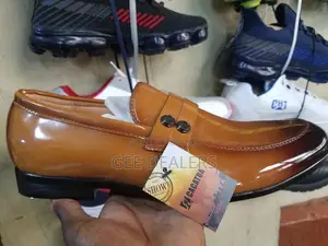 Cacatua Official Shoes
