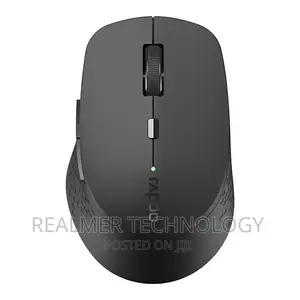 Rapoo Multi-Mode Wireless Silent Optical Mouse M300