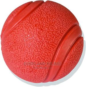 Fetch Ball Dog Toy - thumbnail 2