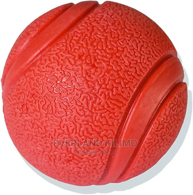 Fetch Ball Dog Toy - main view