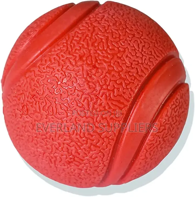 Fetch Ball Dog Toy