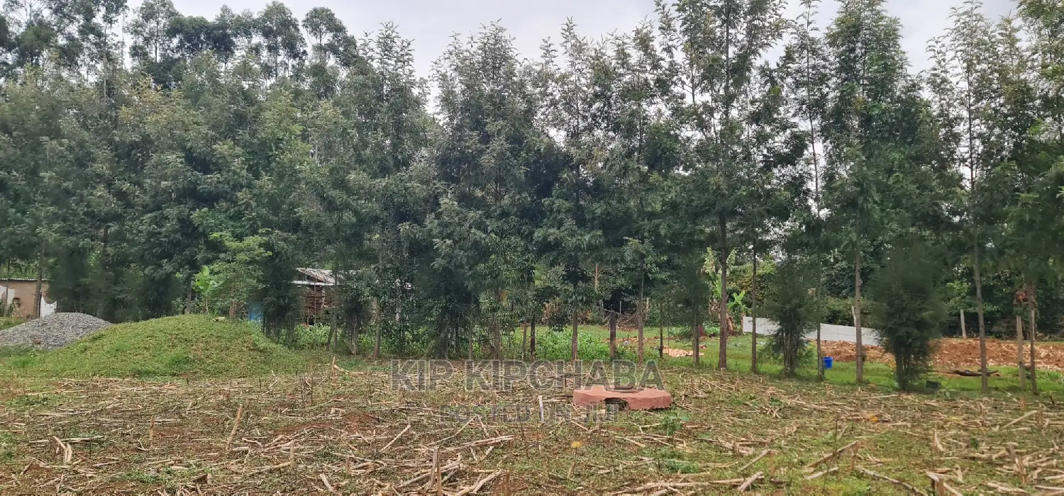 Full 1⁄4 Plot for Sale Cheplasgei Bypass Greenwood Eldoret