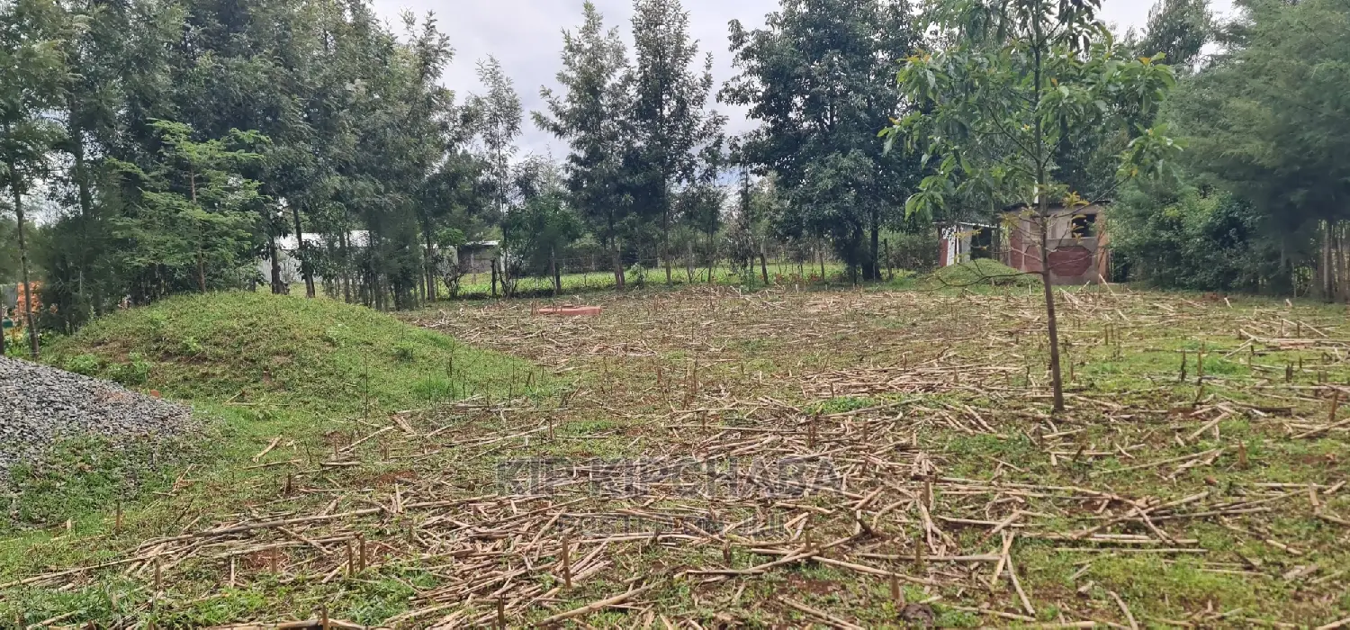 Full 1⁄4 Plot for Sale Cheplasgei Bypass Greenwood Eldoret