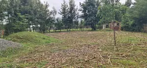 Full 1⁄4 Plot for Sale Cheplasgei Bypass Greenwood Eldoret