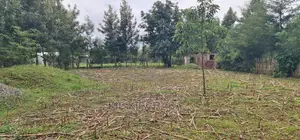 Full 1⁄4 Plot for Sale Cheplasgei Bypass Greenwood Eldoret